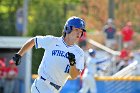 Baseball vs WPI  Wheaton College Baseball vs WPI. - Photo By: KEITH NORDSTROM : Wheaton, baseball
